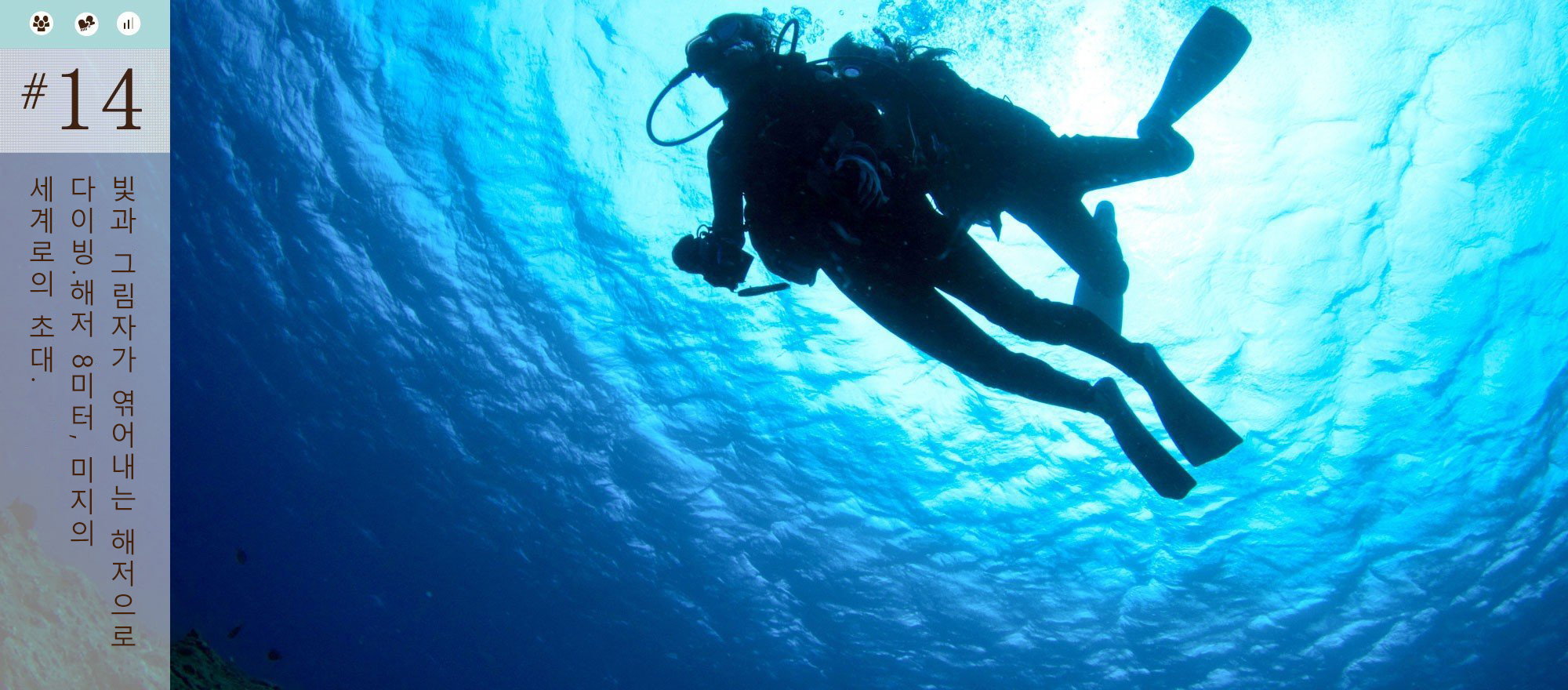 빛과 그림자가 엮어내는 해저으로 다이빙.해저 8미터, 미지의 세계로의 초대.