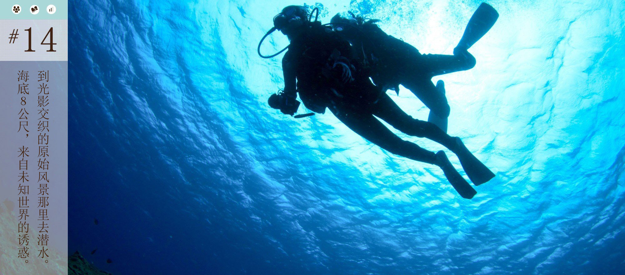 到光影交织的原始风景那里去潜水。海底8公尺、来自未知世界的诱惑。